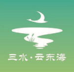 云东海街道直播